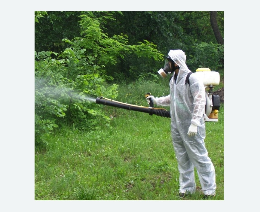 обработка дачи от клещей обработка территории от клещей в Туринске