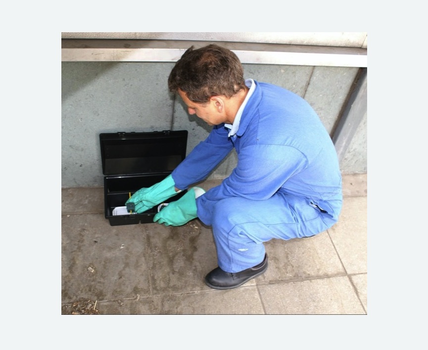 Дератизация помещения в Туринске Дератизация помещения