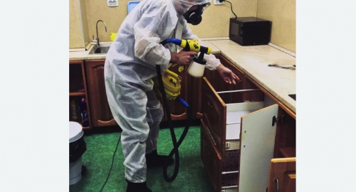Дезинсекция квартиры. Туринск