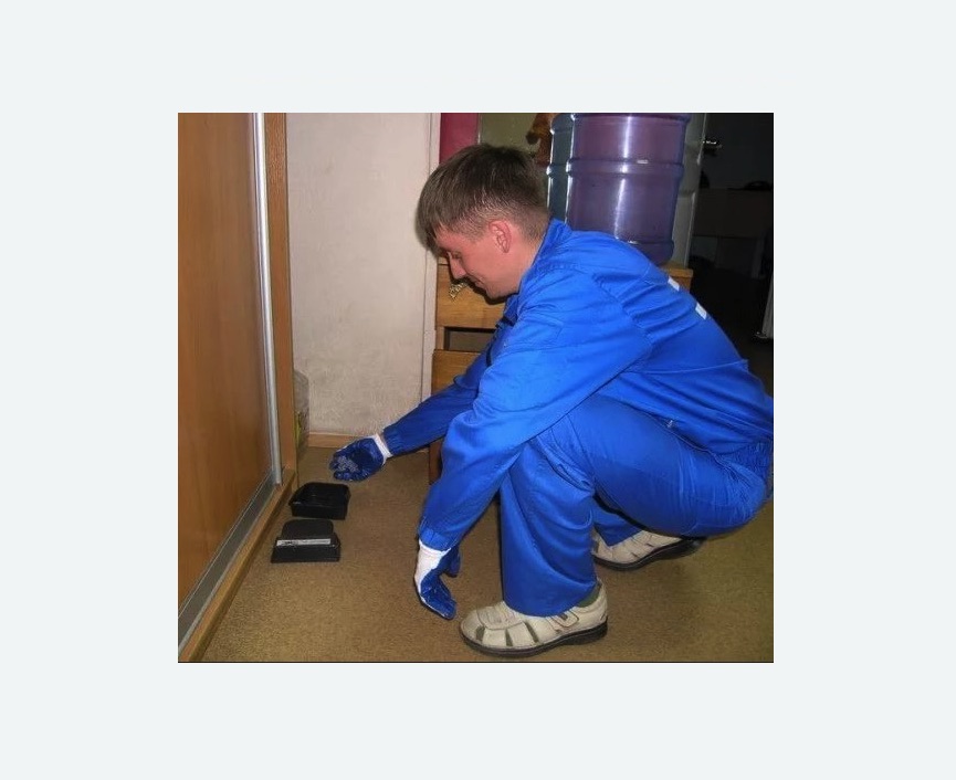 Дератизация крыс в Туринске