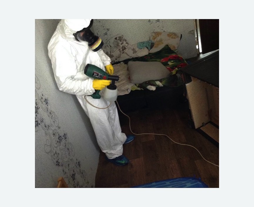 Обработка от насекомых в Туринске Обработка квартиры от насекомых
