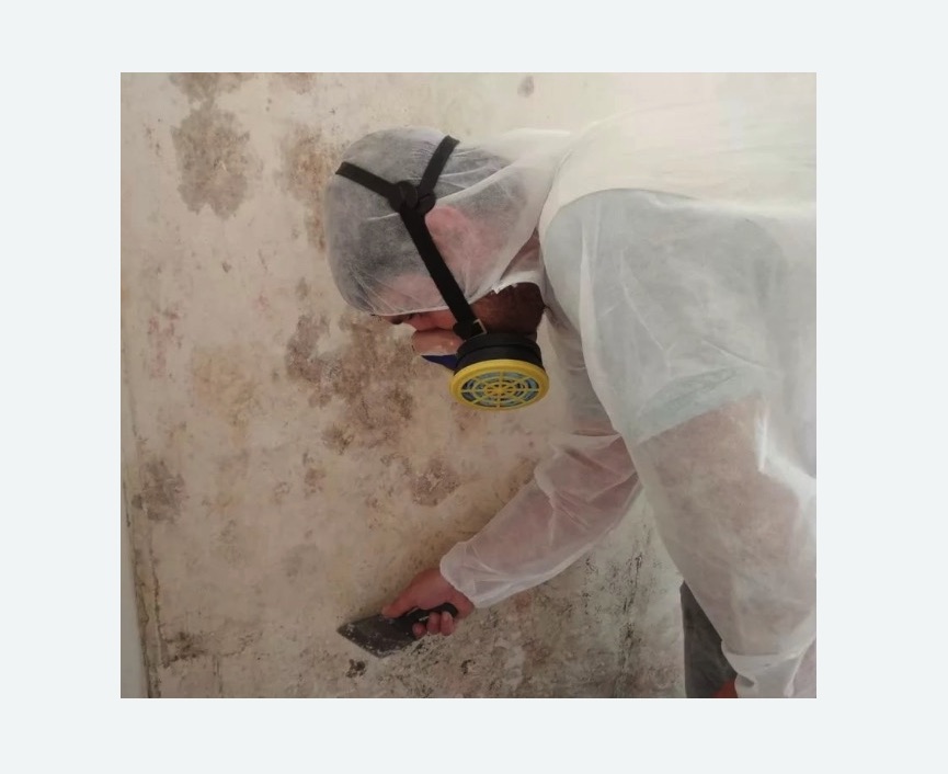 Обработка стен от плесени в Туринске