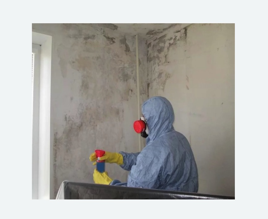 Удаление плесени в квартире в Туринске