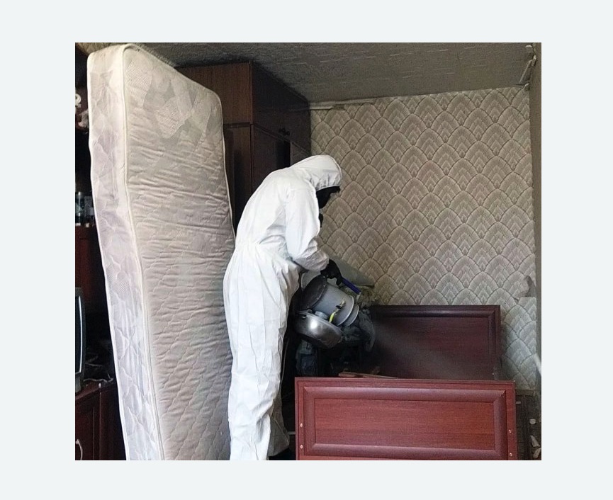 дезинфекция от клопов в Туринске