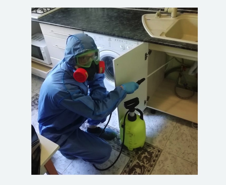 обработка от муравьев в квартире в Туринске