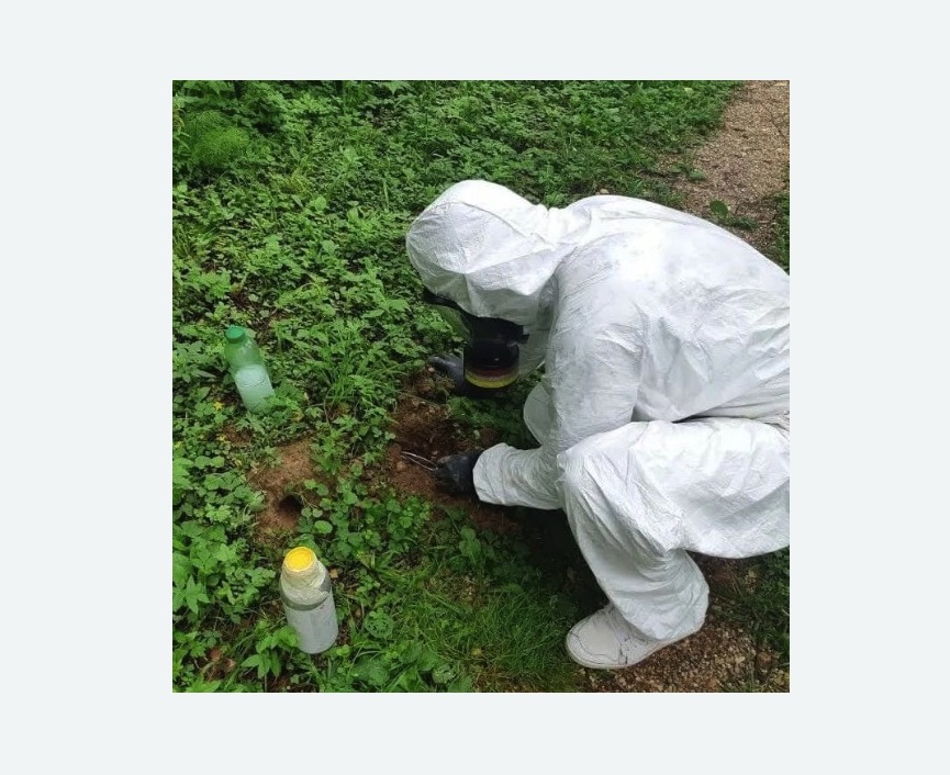 уничтожение кротов на участке в Туринске