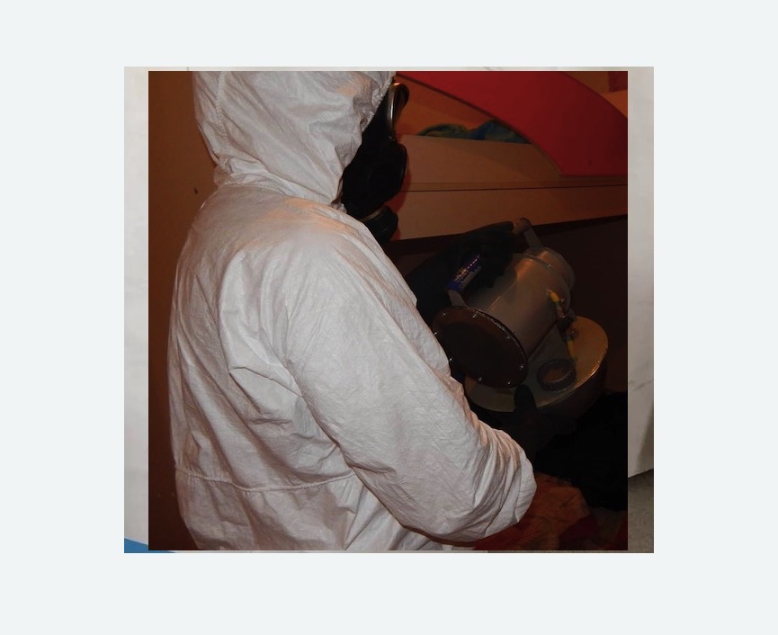 Дезинфекция от муравьев в Туринске