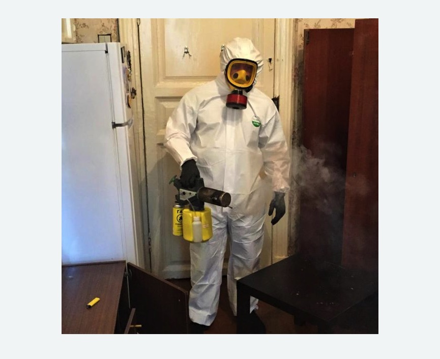 уничтожение муравьев в квартире в Туринске